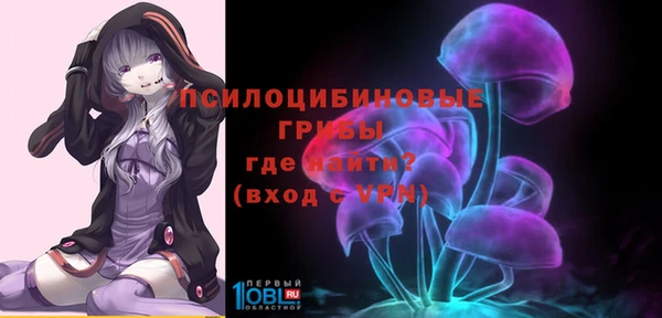 бошки Богородицк