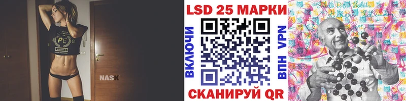 как найти   Белая Холуница  Марки NBOMe 1,8мг 